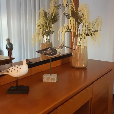 アパート Joanita Holidays